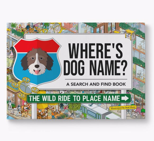 Personalised Aussiedoodle Book: Where's Dog Name? Volume 3
